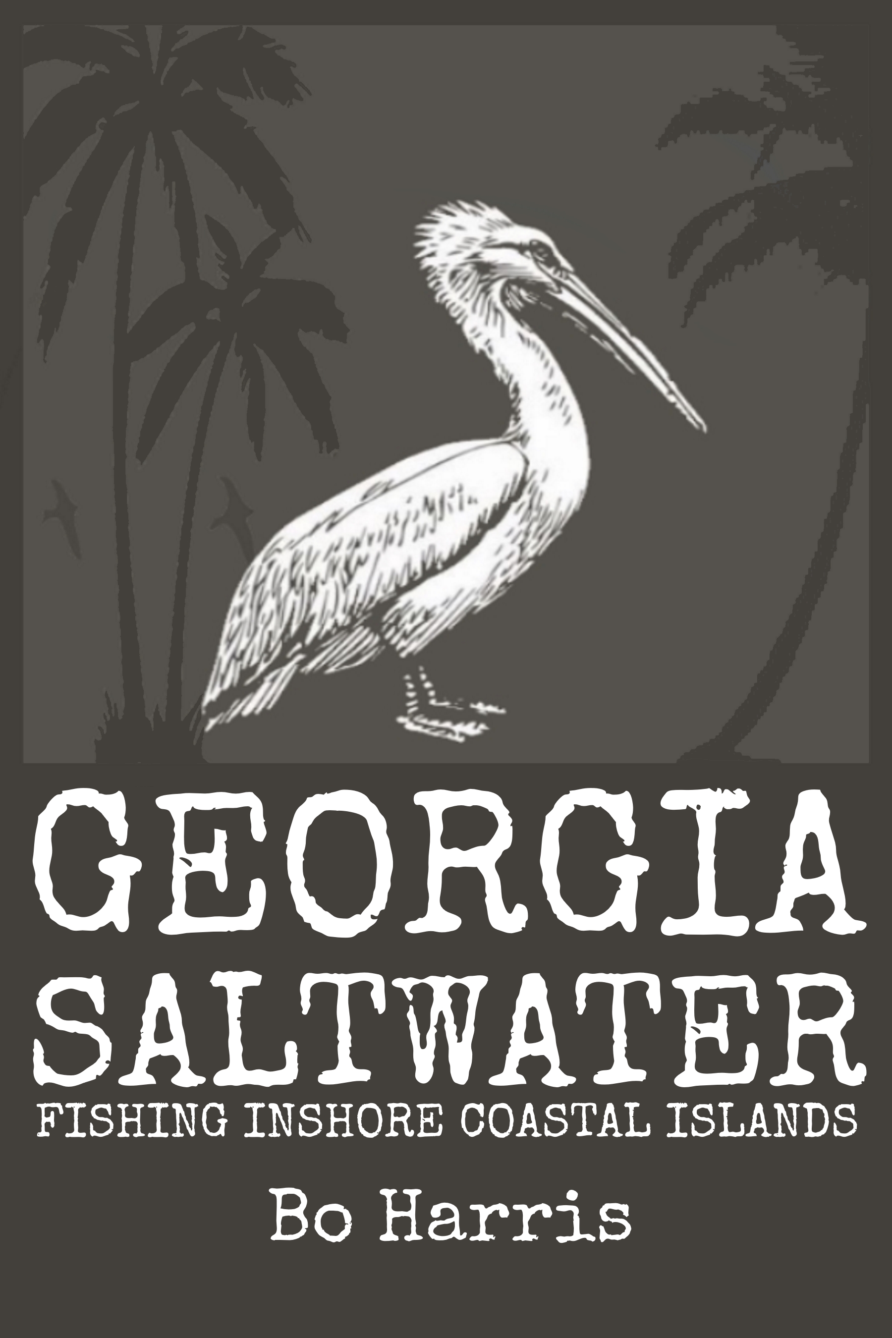 georgia-saltwater-fishing-inshore-coastal-islands-book
